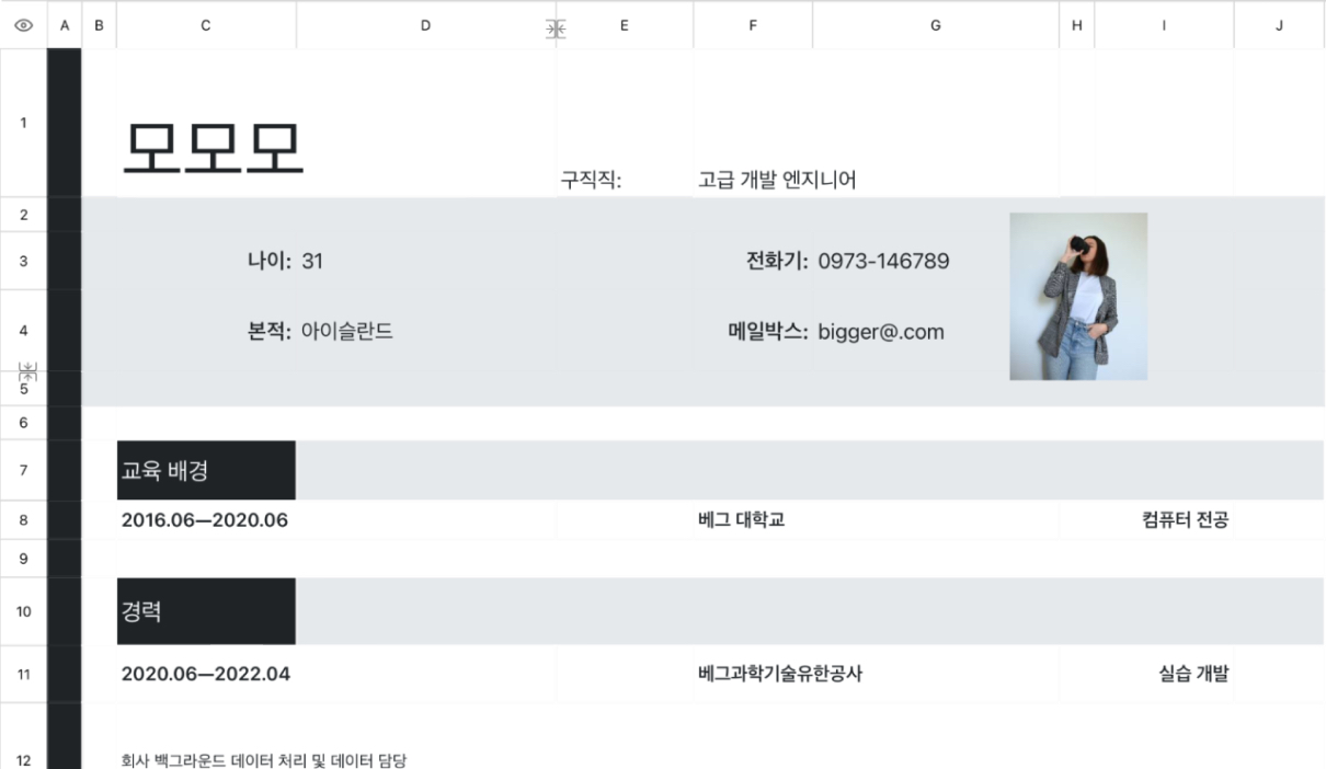 프로그래머 이력서